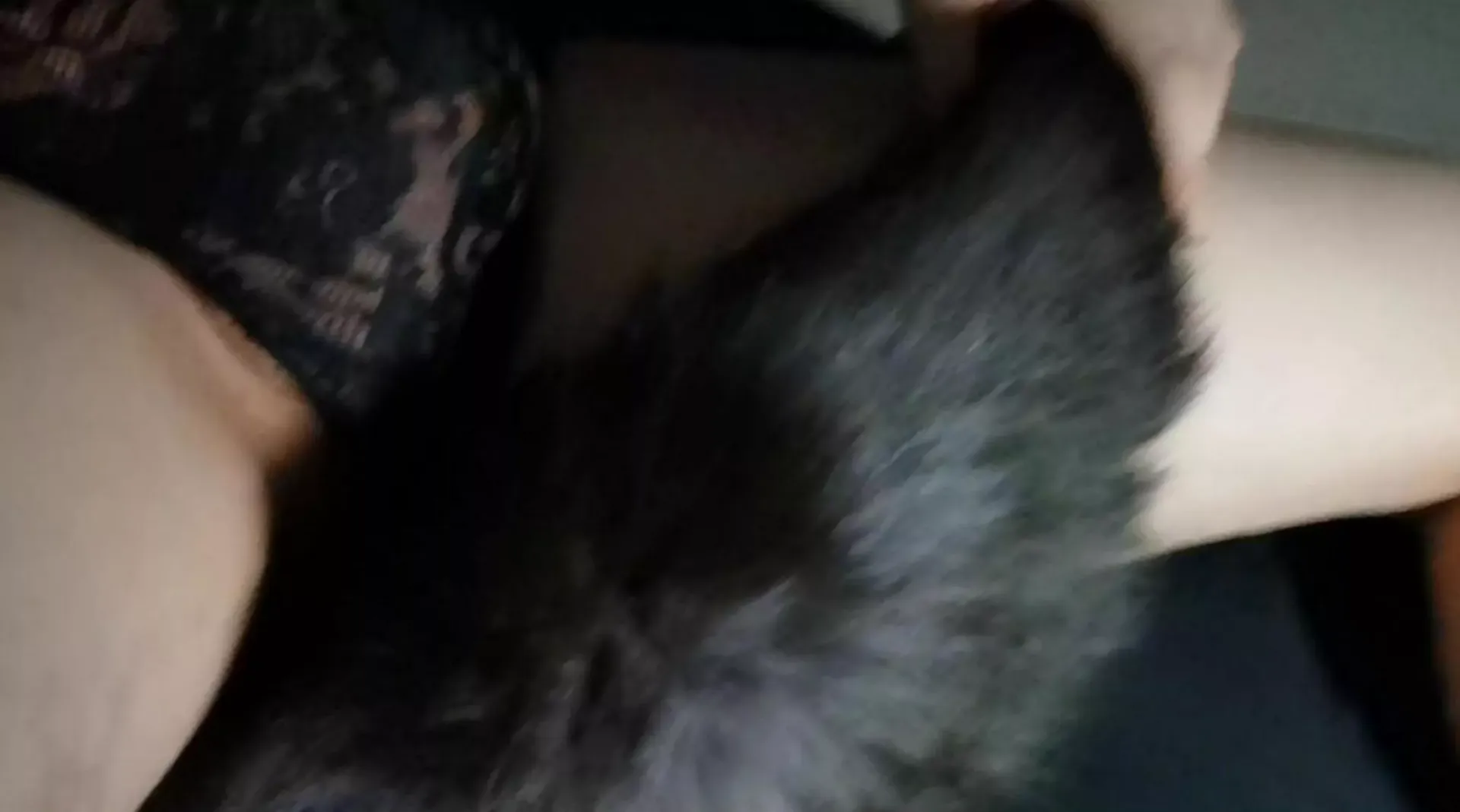 😽