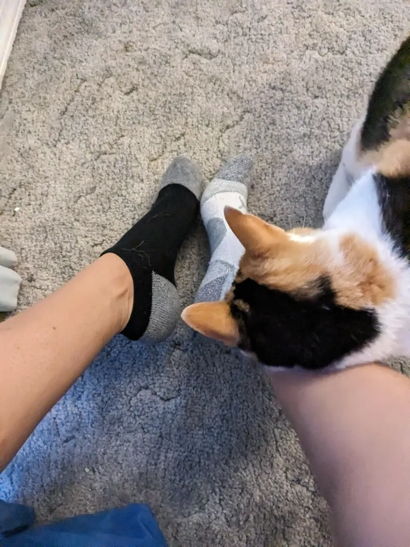 😍😍😍😍