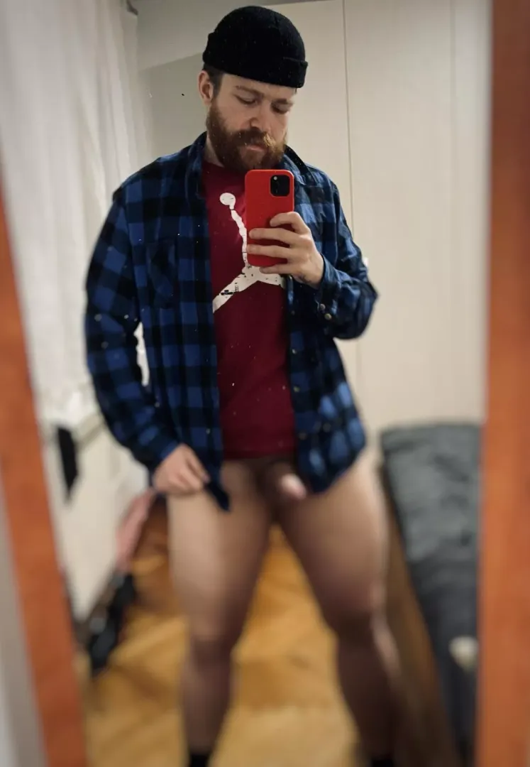 🐻🐻🐻