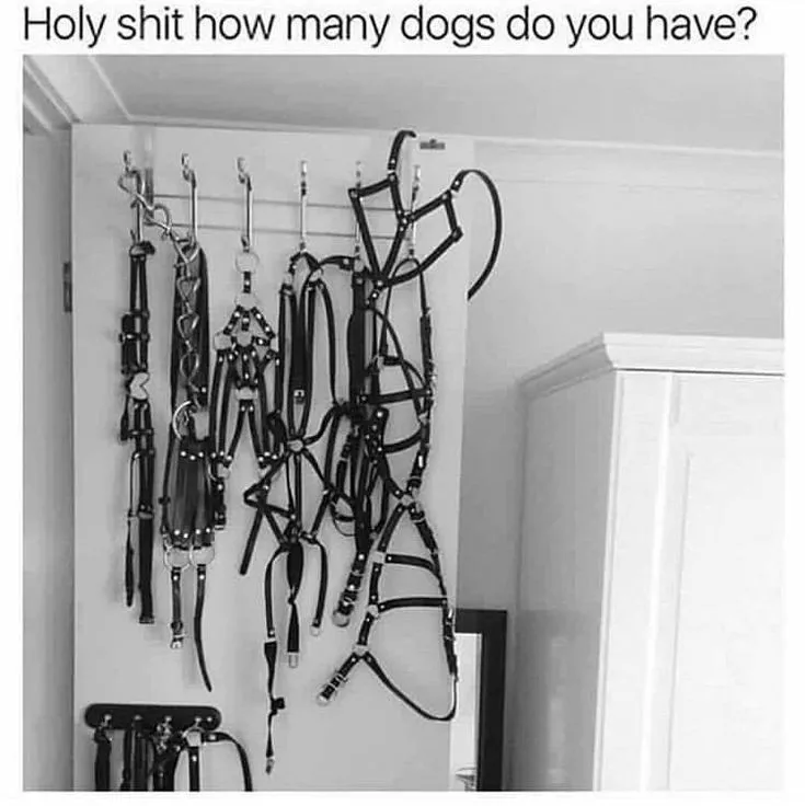 👀