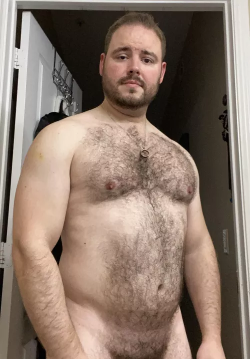🐻 