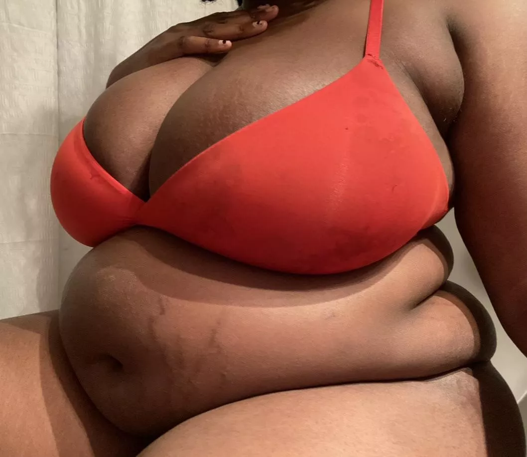 🐷🐷🐷