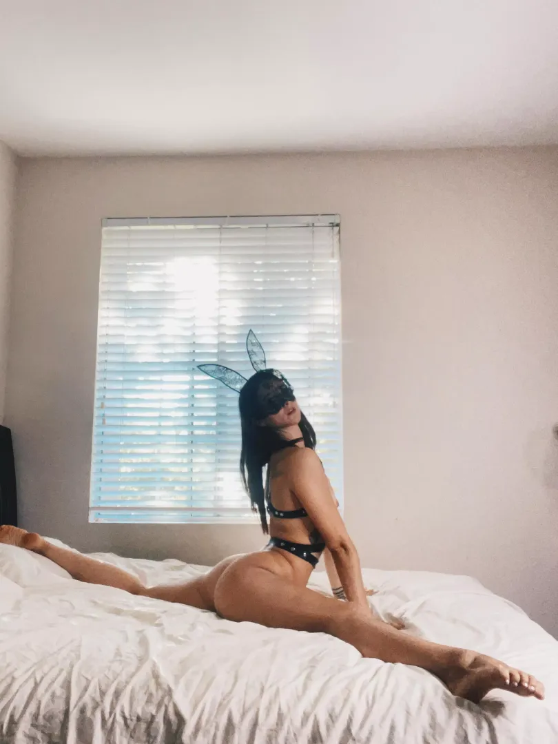 🐰 ♥️