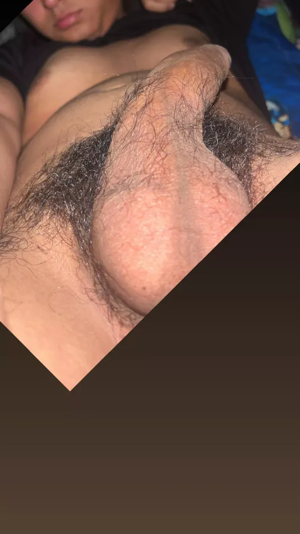 🐰🐰