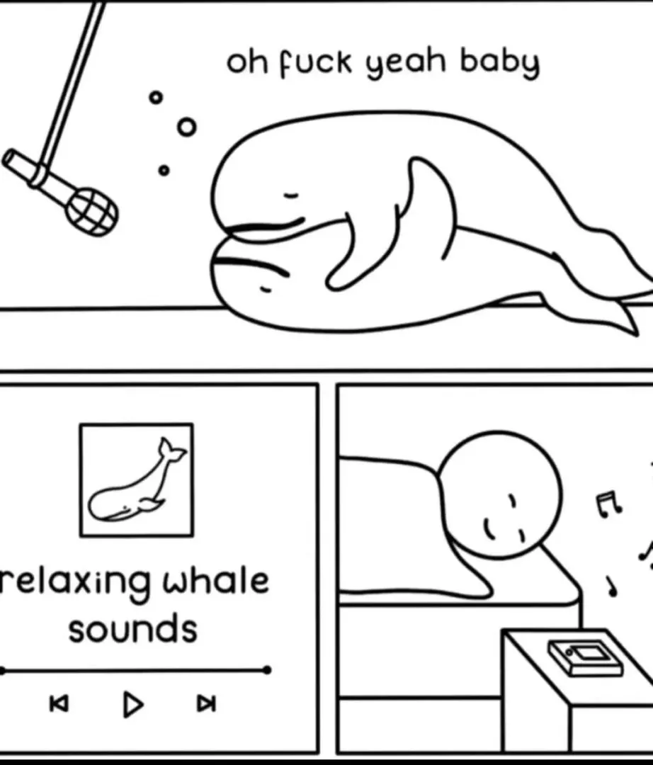 🎵