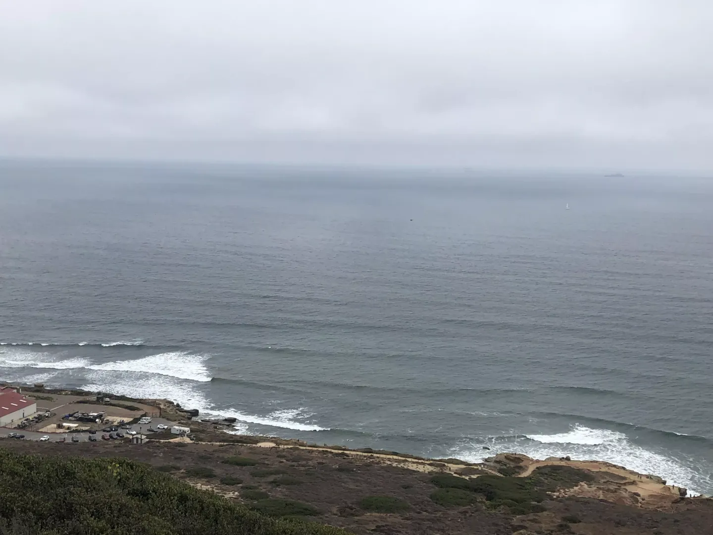 🌊🌊