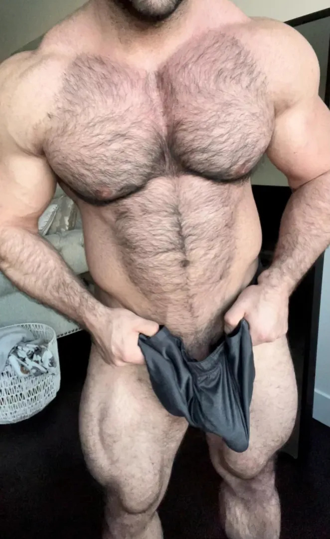 🐻🍆
