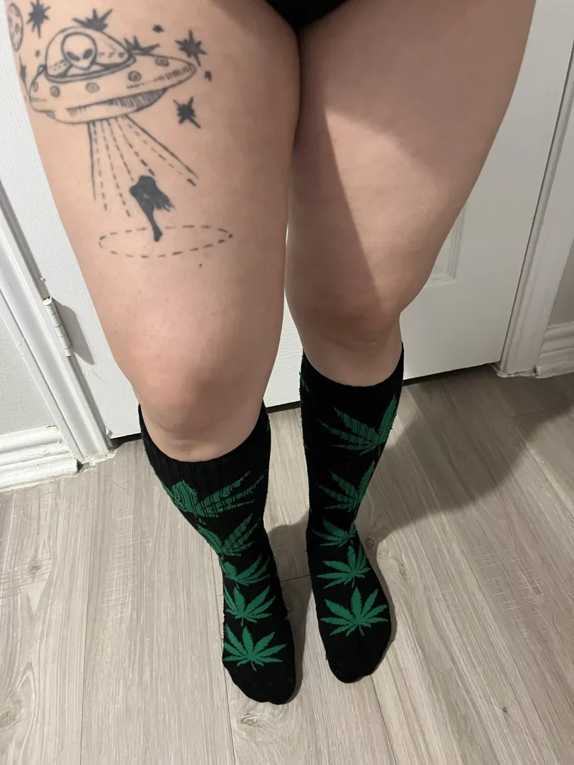 🍃