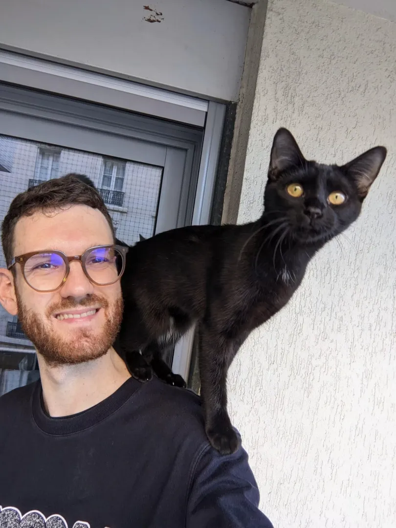 😸