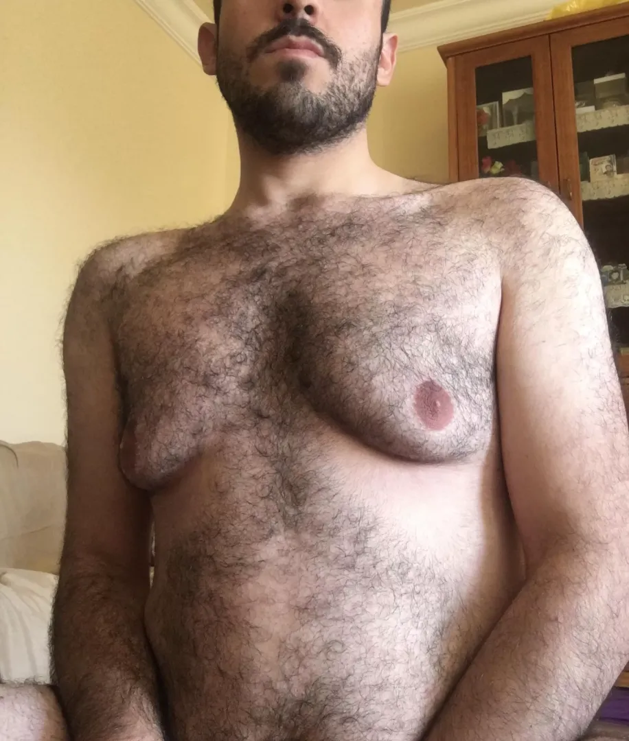 🐼