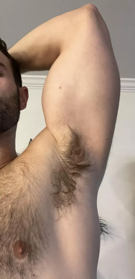 🐽