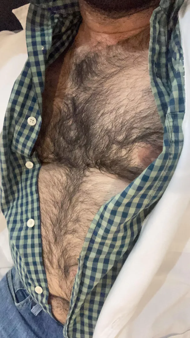 🐻