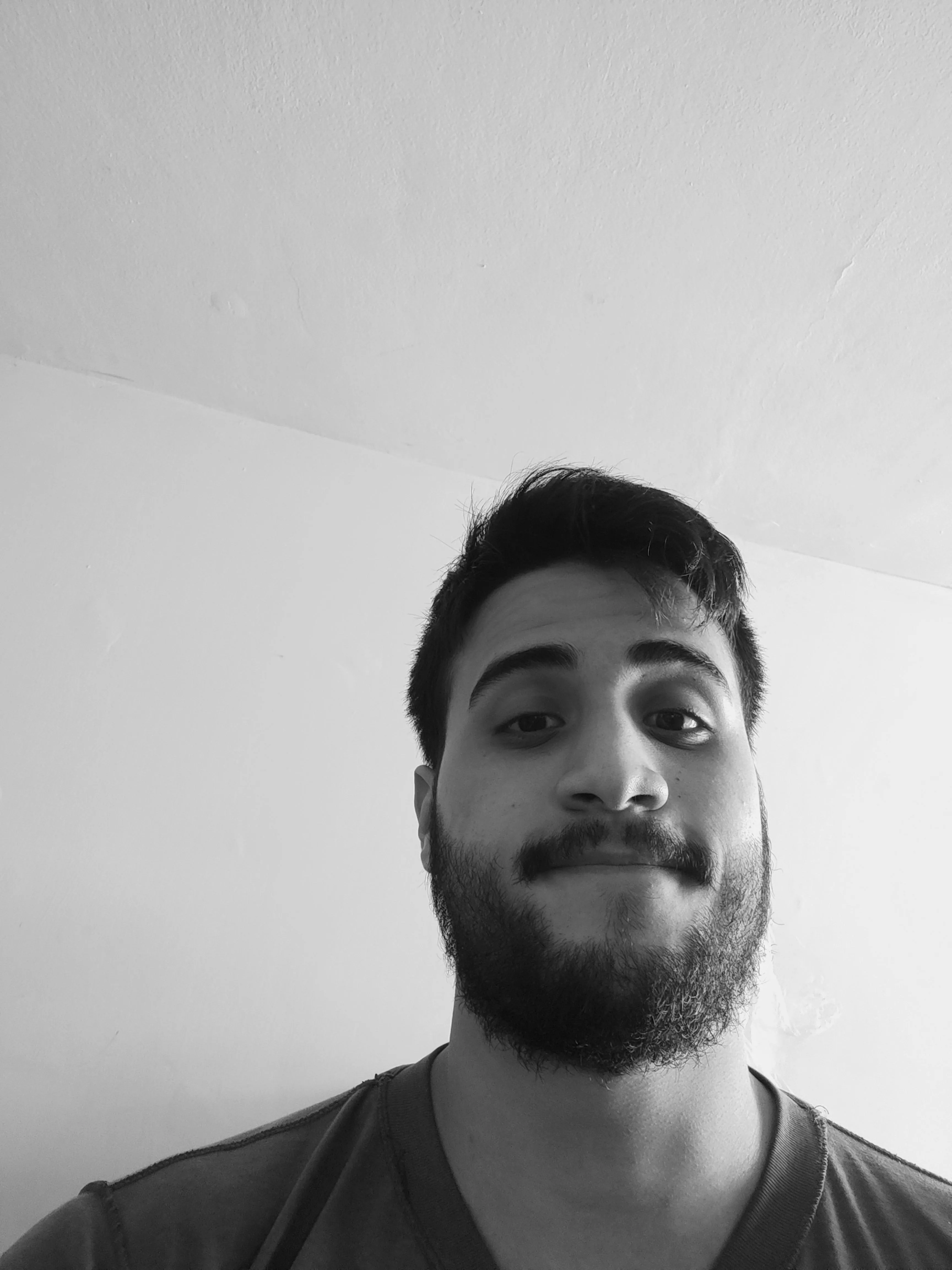 🐼🐼🐼