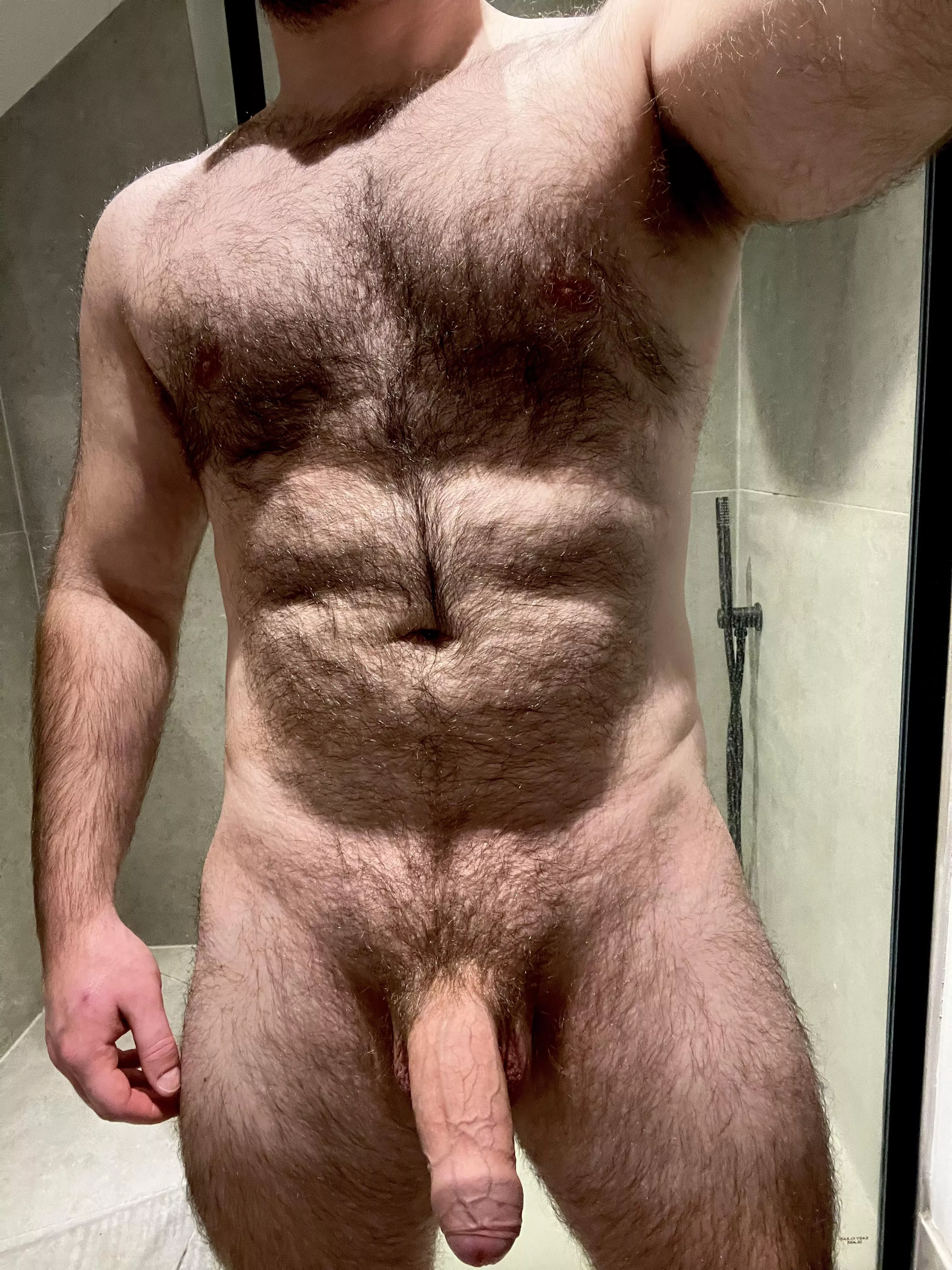 🐻