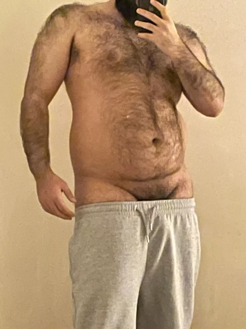 🐻