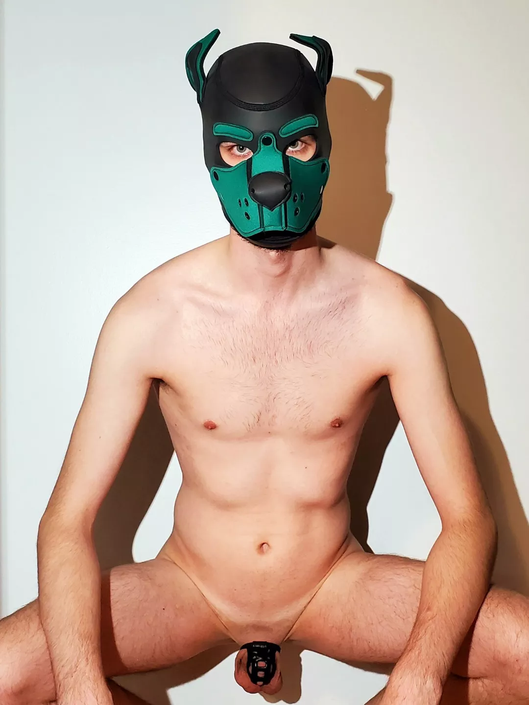 🔒🐶