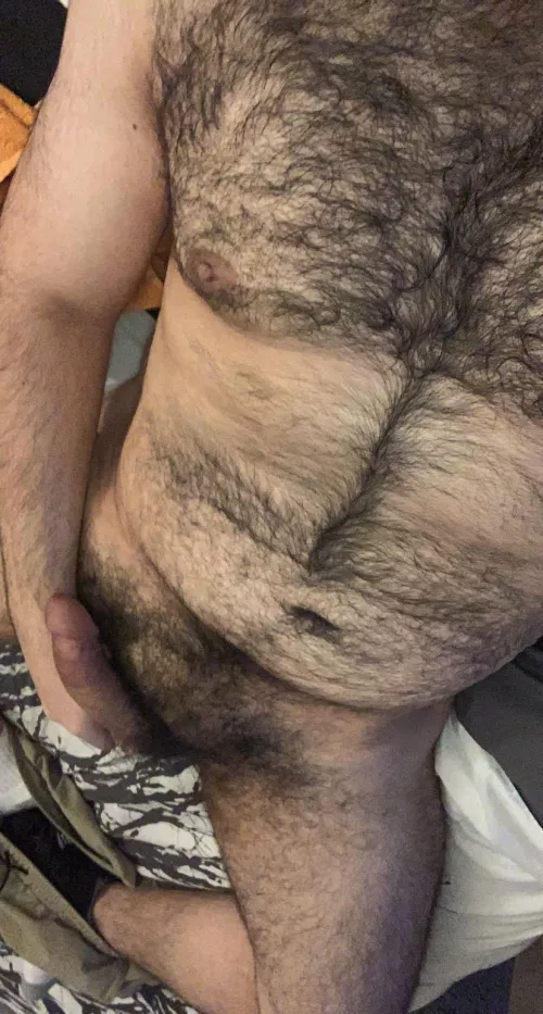 🐻