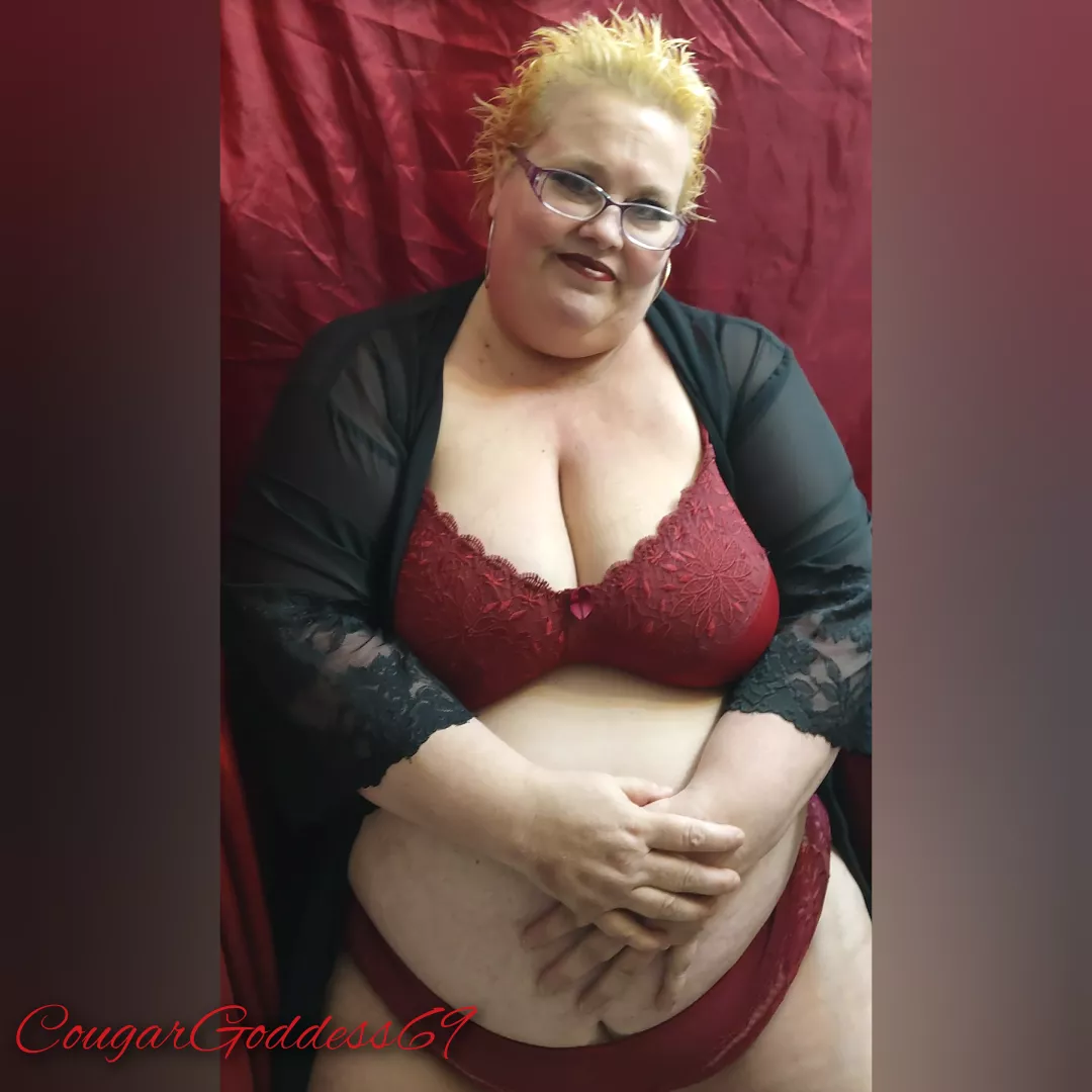 🌹🌹🌹🌹🌹