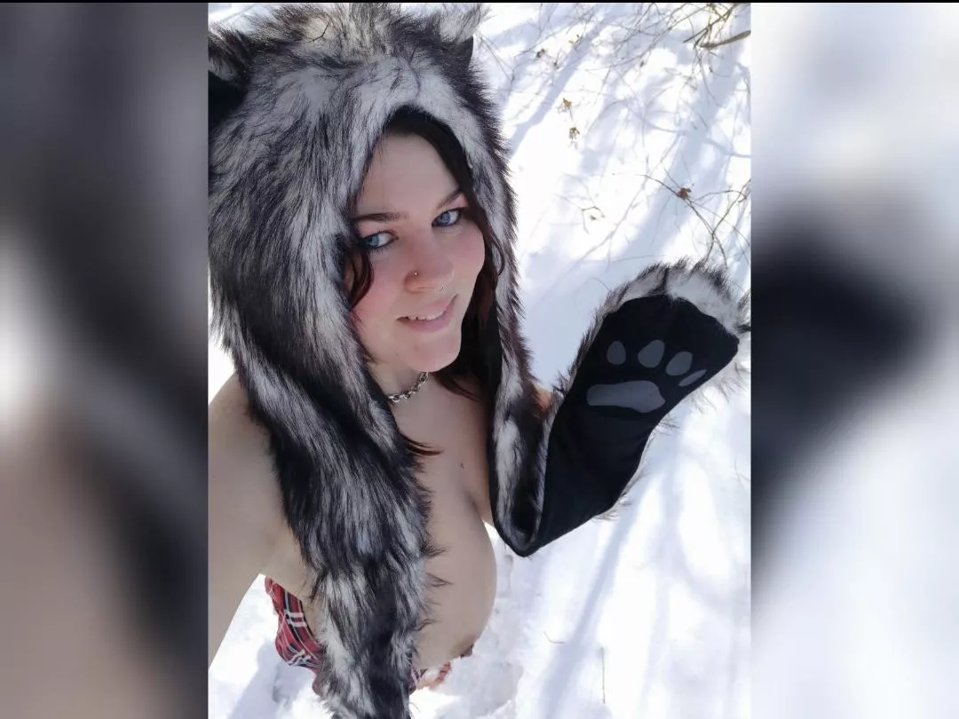 ❄️🐺❄️