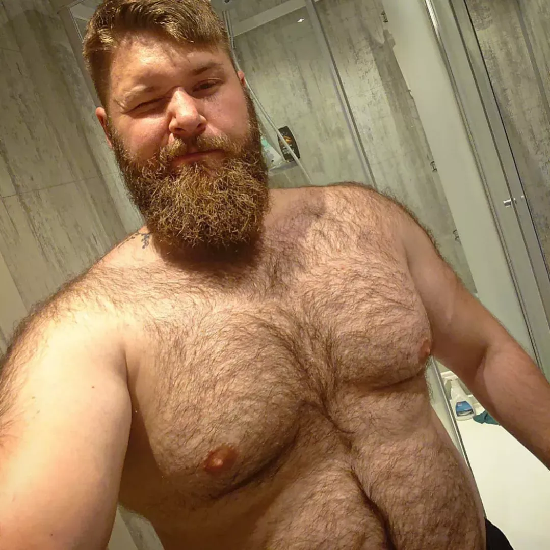 🐻