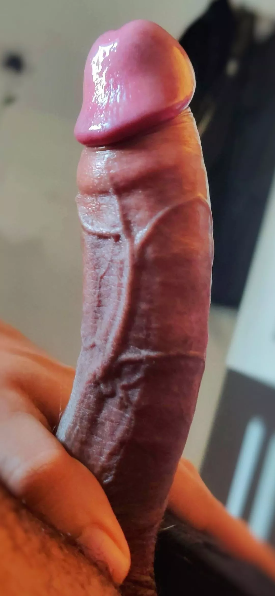 🍄🍄