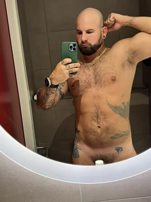 🐻