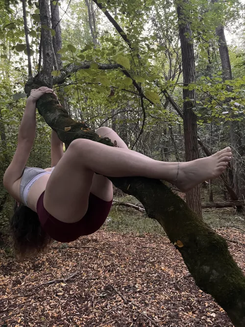 🍃👣