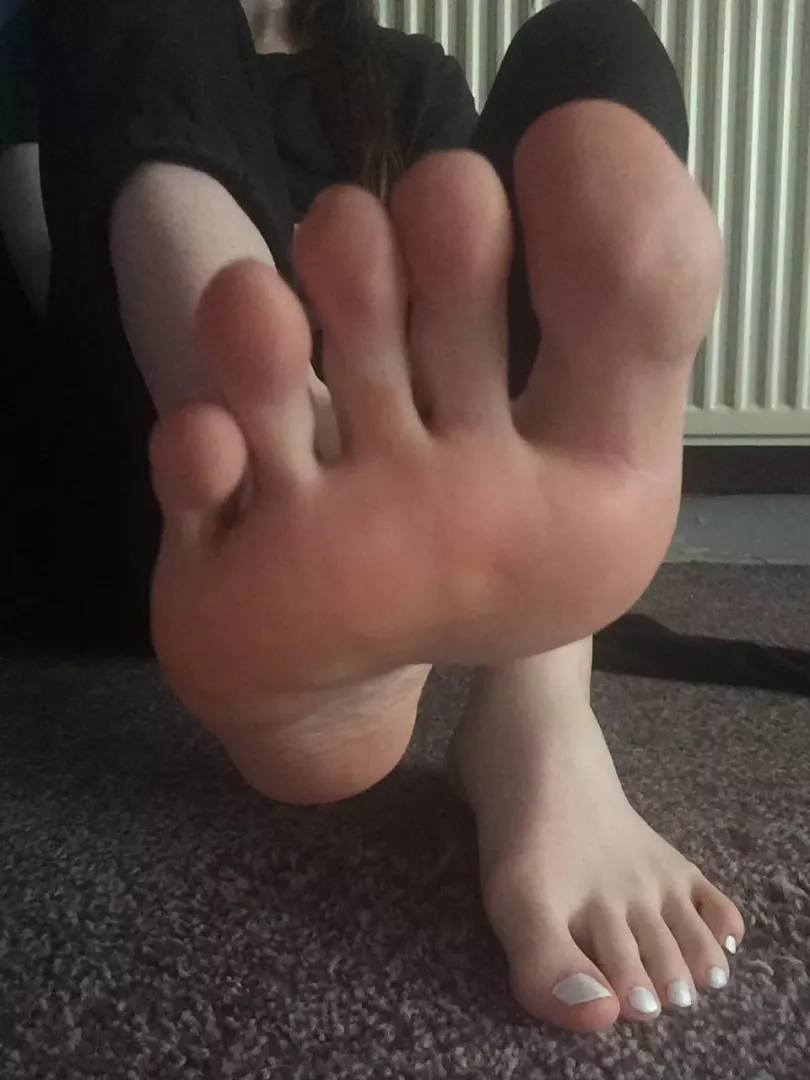 🤍
