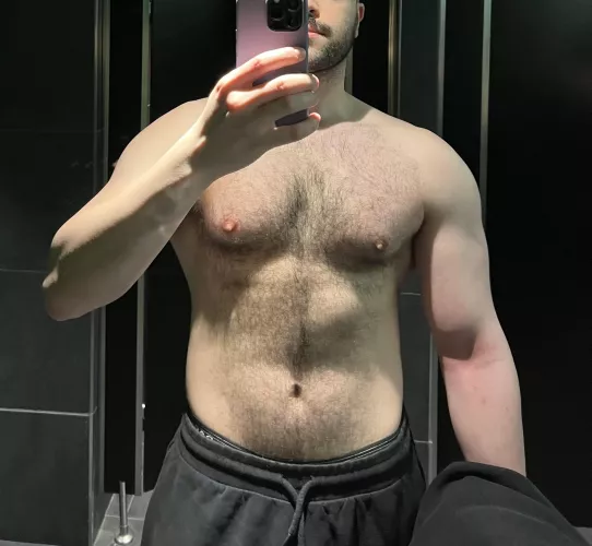 🦊🦊