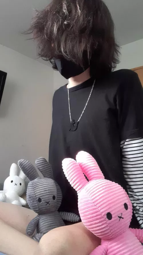🐰🐰🐰
