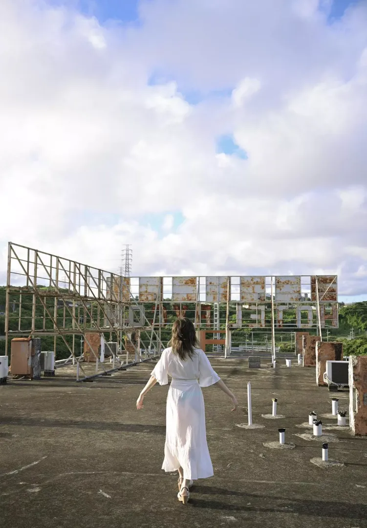 🕊️