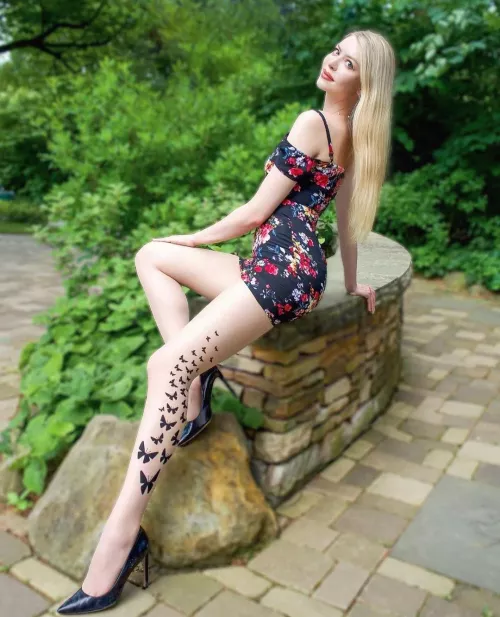🦋🦋🦋
