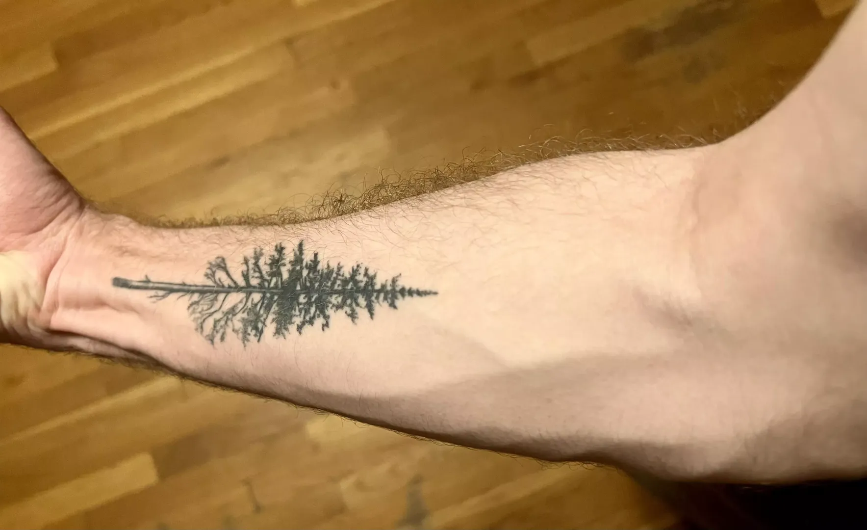 🌲
