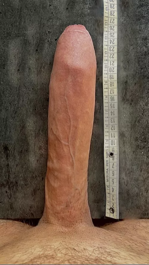 10 inch cock