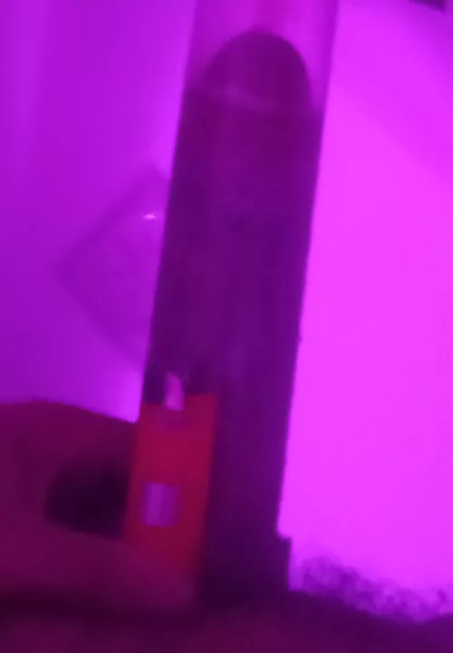 10 min pumping....