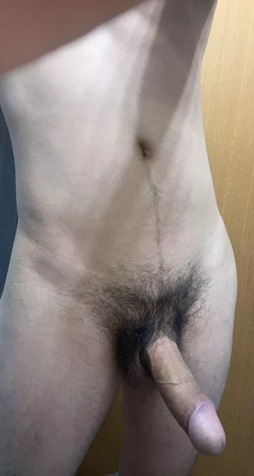 18, bush