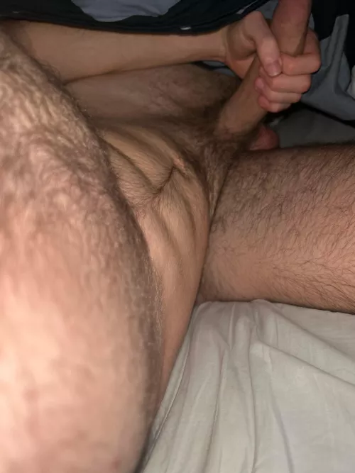 18 fit hung vers sc: oboj0000