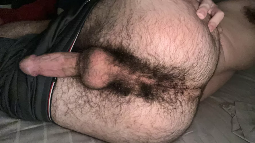18 hairy ass