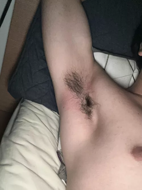 18 - snap: hxklip20 semd pits