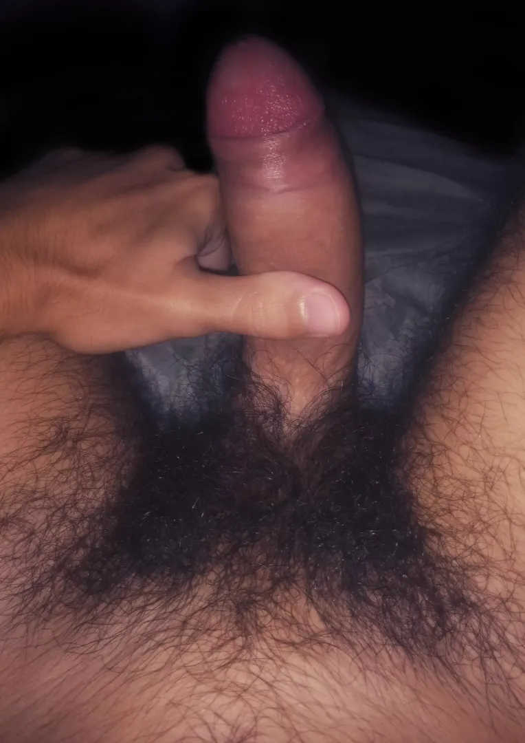 (19) Algm curte 13cm??