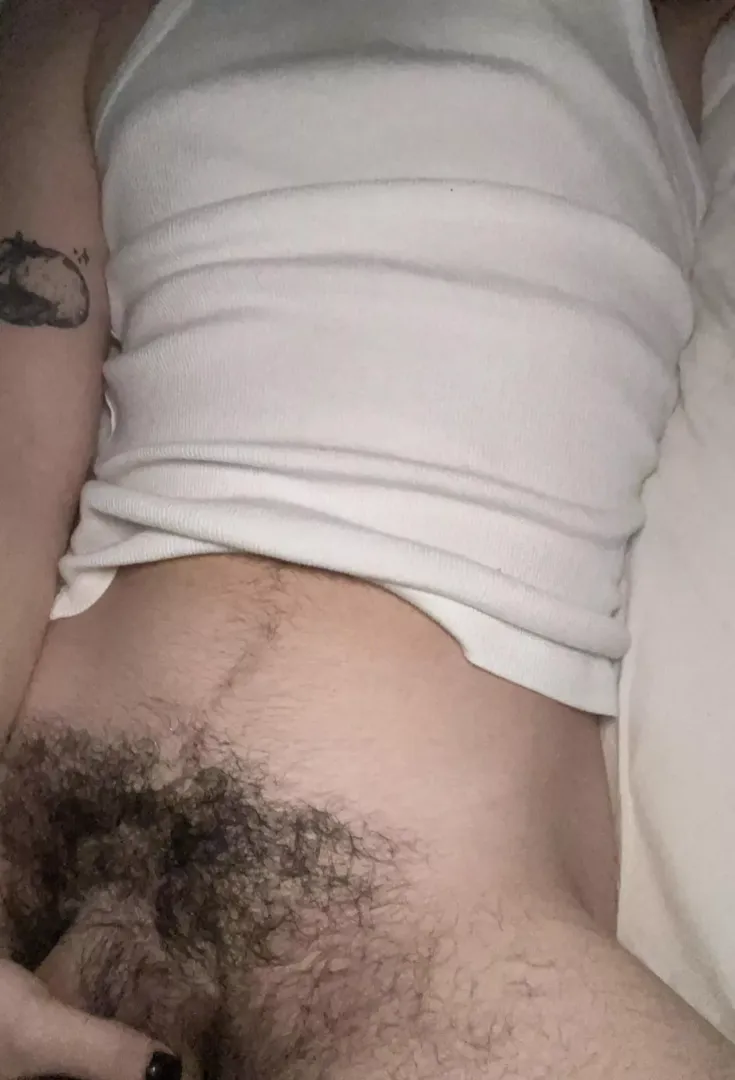 19 college bush