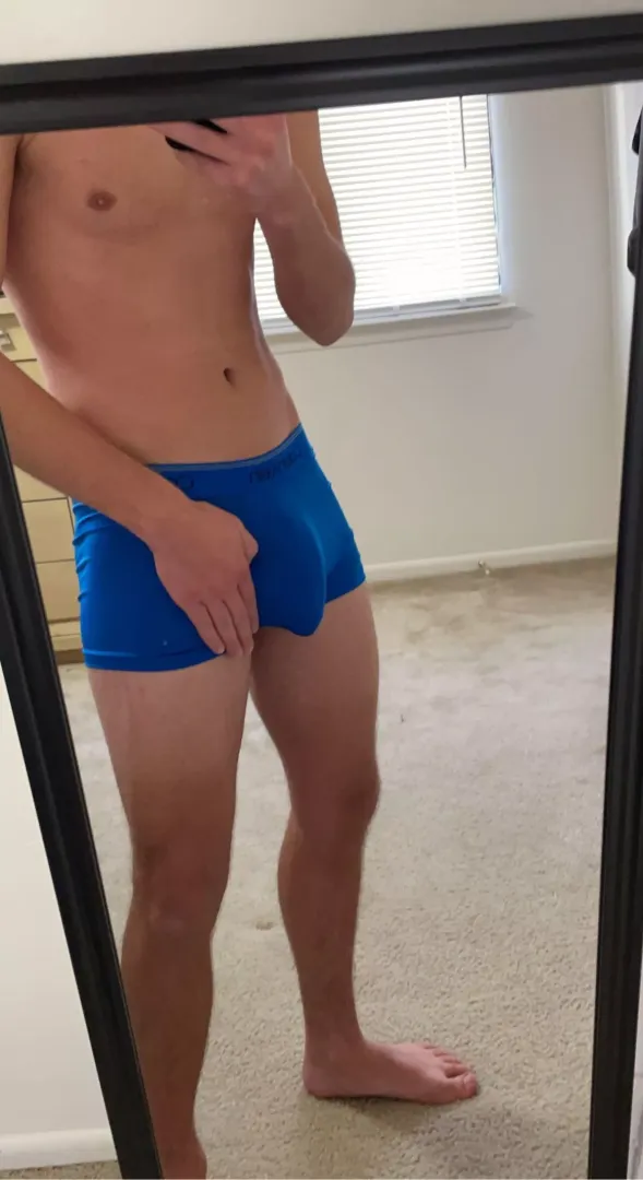 19 dm for snap