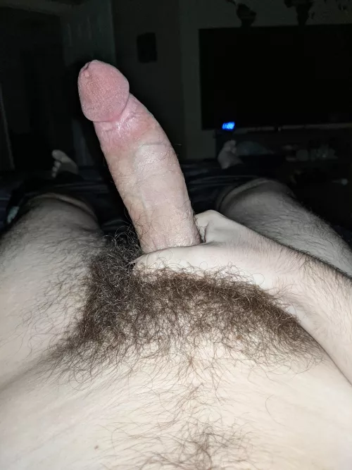 19, dm to rate my cock in detail, everything you like/ dislike