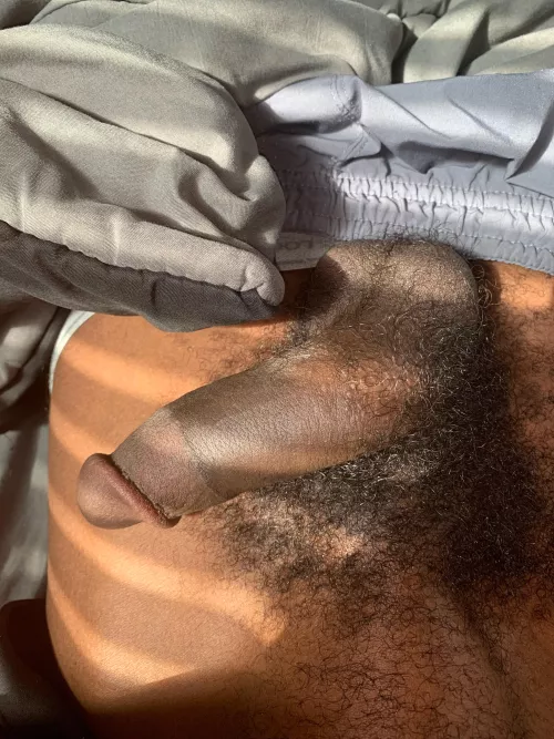 19 in need of a hairy chub or hairy dick to get me hard and cum add me. Dammasterjay