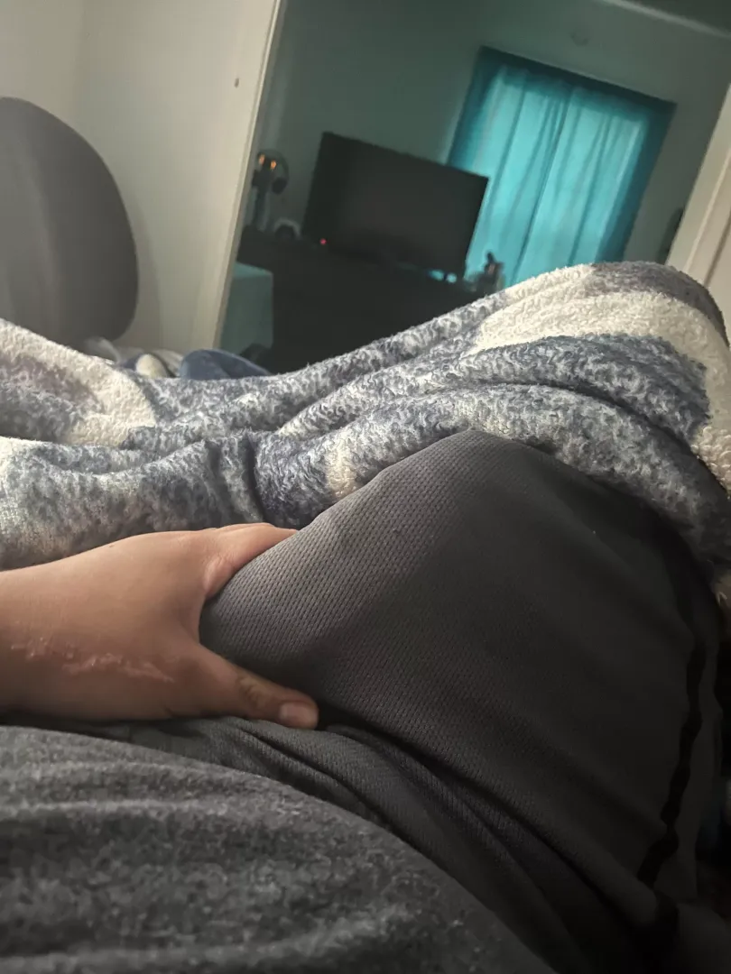(19) morning wood