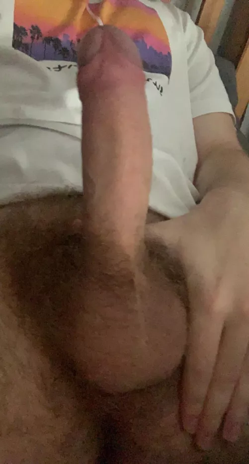 19 need a sexy bottom to get me hard @sa_f6777
