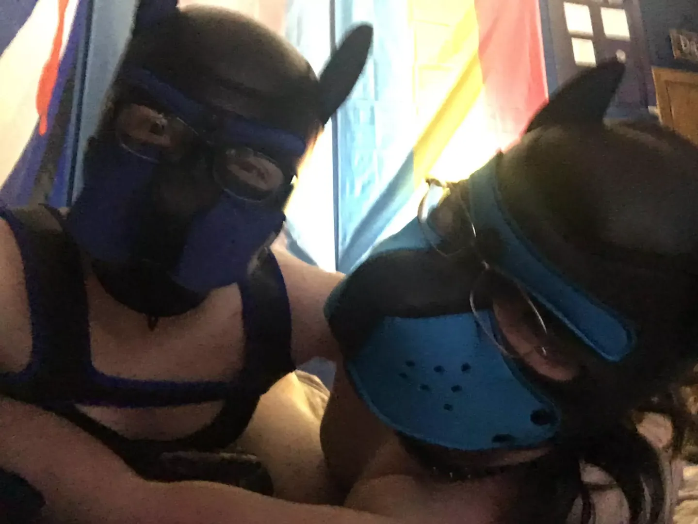 2 cute pups wishin' y'all a Happy New Year (23 MTF & 22 M)