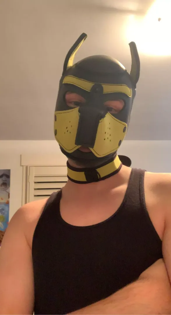 [20] Just got my first hood today!