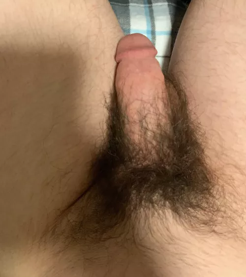 20 M soft