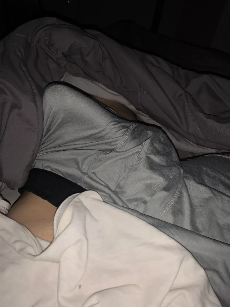 (20) morning wood